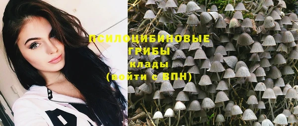 кристаллы Бородино