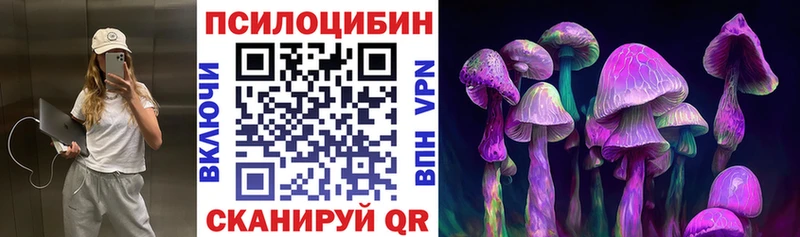 цены   площадка формула  MEGA ONION  Псилоцибиновые грибы GOLDEN TEACHER  Горно-Алтайск 